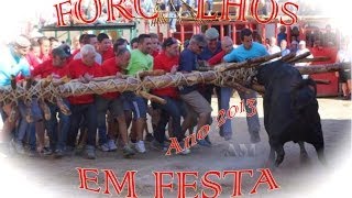 preview picture of video 'Forcalhos Em Festa    Ano 2013'