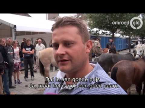 Handjeklap op ponymarkt in Bemmel