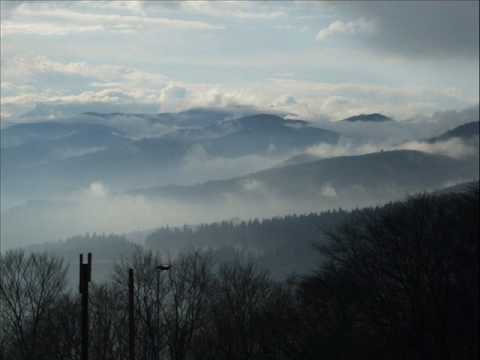 Delerium vs First State vs Myon & Shane54 - Brave Silence (DannY-L'S Mashup Remix)