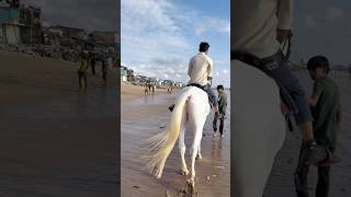 Download lagu horse ride versova beach 🐎⛱️#versova #horseriding #shortvideos mp3 Download lagu horse ride versova beach 🐎⛱️#versova #horseriding #shortvideos mp3