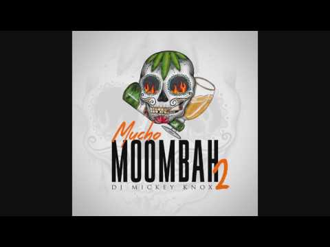Mucho Moombah 2 | MOOMBAHTON MIXTAPE | EDM Music