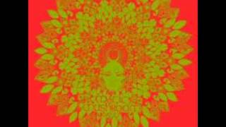 Magic Mushroom Band - Halcyon Daze