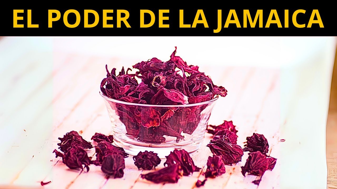 DEBES de COMER JAMAICA por ESTO -7 Grandes Beneficios