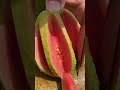 Oddly Satisfying Guava Fresh Fruit Cutting In My Farm How To Cut Fruit In My Farm Shorts