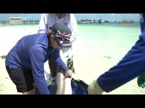 ✔ Doku HD Abenteuer Australien Begegnungen Down Under [ Deutsch 2015 ]