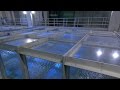 Storm Simulator Recreates Category 5 Hurricane Conditions