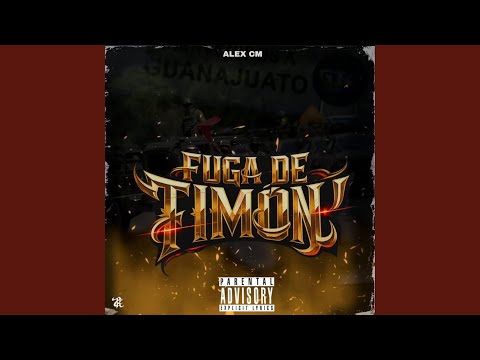 Fuga de Timon (Alex CM)