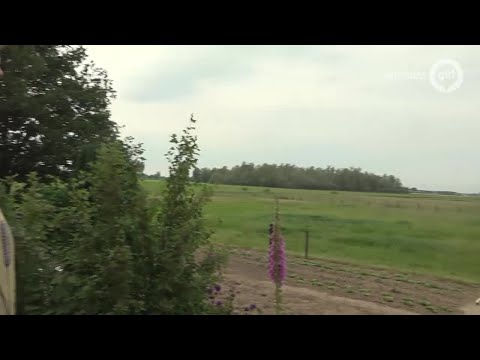 Kijk op Gelderland 5 juni 2019