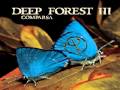 Deep Forest Madazulu