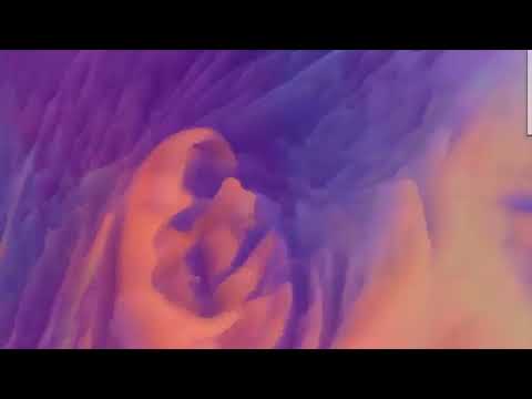 bodyimage - This Way // That Way