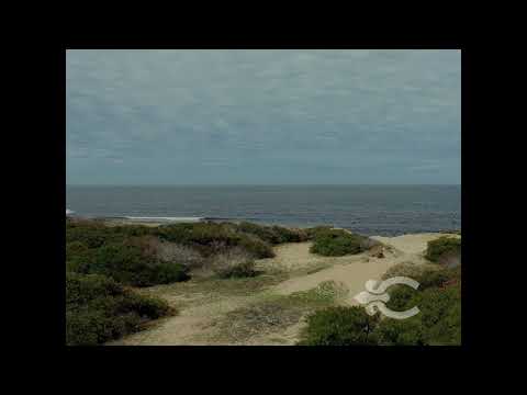 Video de YouTube - Gran terreno en Sauce de Portezuelo 9200, con frente al océano