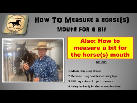 YouTube video about: How to know what size bit your horse needs?
