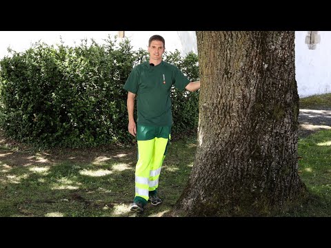 10: Natürliche Klimaanlage