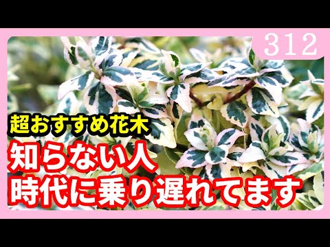 ユーポリアについて詳しく解説