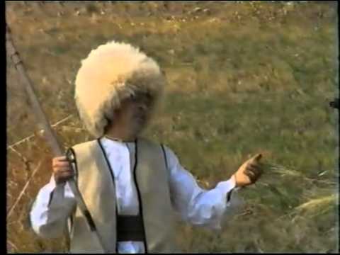 Paun iz Tande - Am avut o koasa