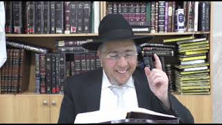 פרשת פיקודי עם פירוש 'אור החיים'הקדוש  - הרב שלמה ברסקה שליט"א  תשפ"ה