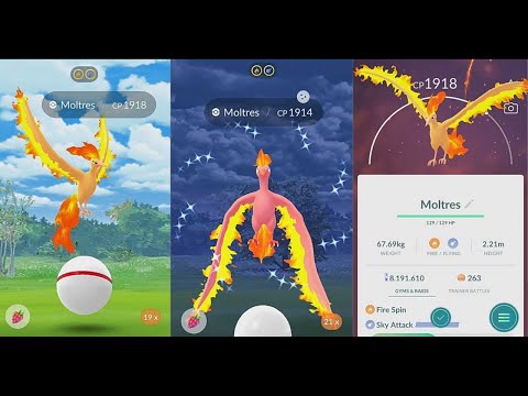 How to Defeat Moltres in Pokemon GO Raid Battle!