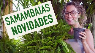 Miniatura do vídeo