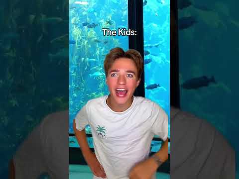 Going to The Zoo 😭