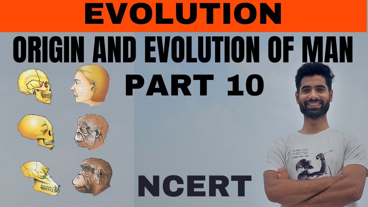 Origin and Evolution of Man || Part 10 || Evolution class 12th NCERT