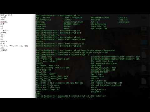 1. Terminal Basics: bash & vi