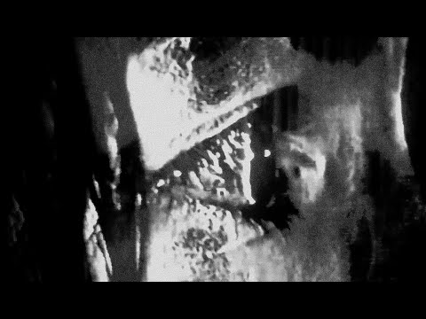 TWENTYTHREE and MOSSBACK