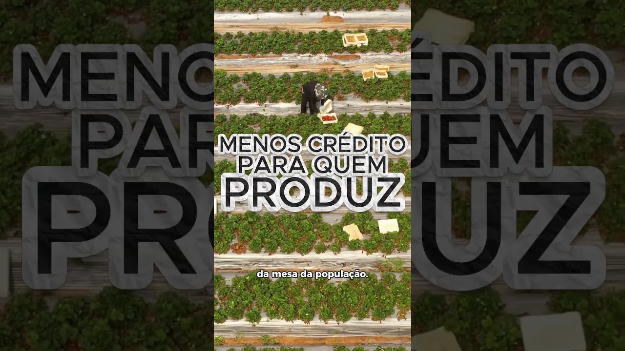 O produtor precisa de financiamento compatível com a realidade do campo.