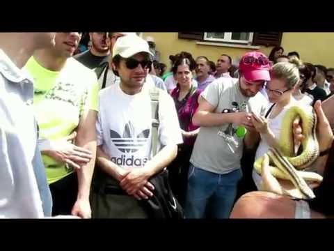 Cocullo 2013 con viaggio e il dopo processione