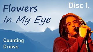 Flowers In My Eye (Disc 1 - Counting Crows)