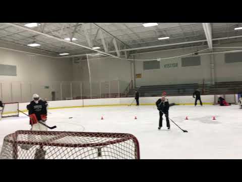 Future pro goalie school at WIFC