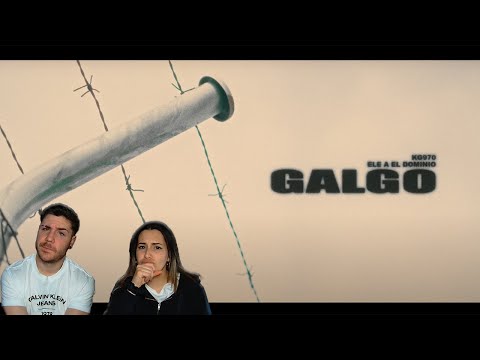 KG970, ELE A EL DOMINIO - GALGO (VIDEOCLIP OFICIAL) [REACCIÓN y PUNTUACIÓN]