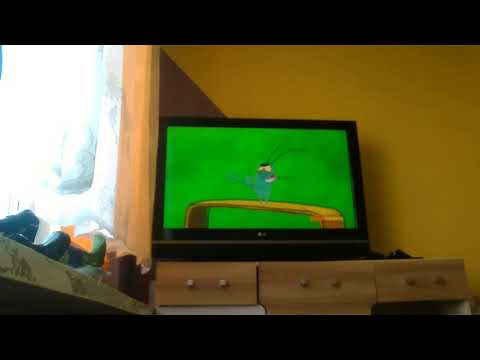 Krystian Dziubiński na hdhdhdgdh