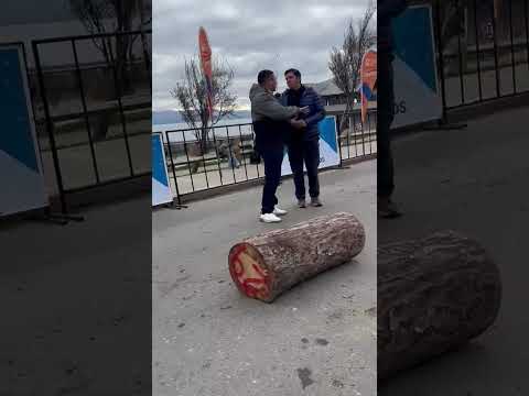 Arranca el tradicional Concurso de Hacheros en Bariloche (video: Eugenia Neme)