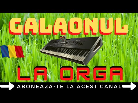 GALAONUL OLTENESC - JOCURI/DANSURI CA LA NUNTA