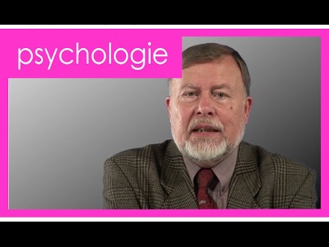 Das Gedächtnis | Hans Joachim Markowitsch