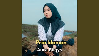 Download lagu Pria Idaman mp3