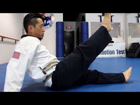 Taekwondo For Beginners: Basic Kicking Technique