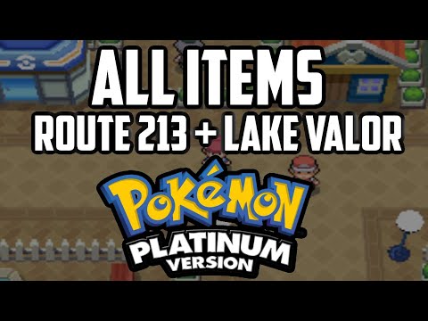 EVERY Item in Route 213 & Lake Valor - Pokémon Platinum