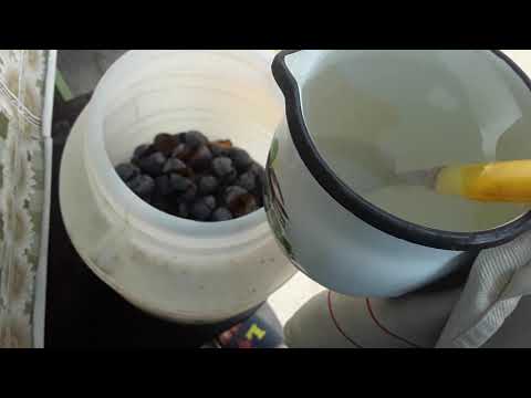 tuica de prune        SZILVA PALINKA KESZITESE