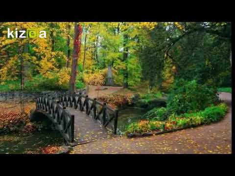 Ese vacío, vacío lo llenó Jesucristo