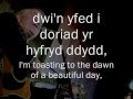 Bod yn Rhydd - Dafydd Iwan (geiriau / lyrics ...