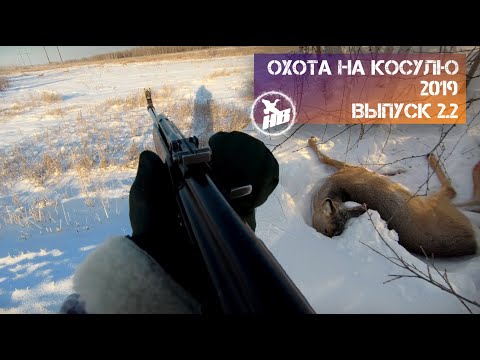 Охота на косулю. Выпуск 2.2