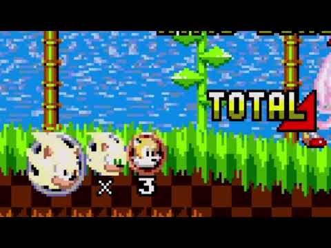 Some Strange Glitch in Sonic Classic Heroes