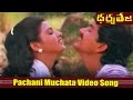 Pachani Muchata Video Song Dharma Teja Movie Krishnam Raju Radhika MovieTimeVideoSongs
