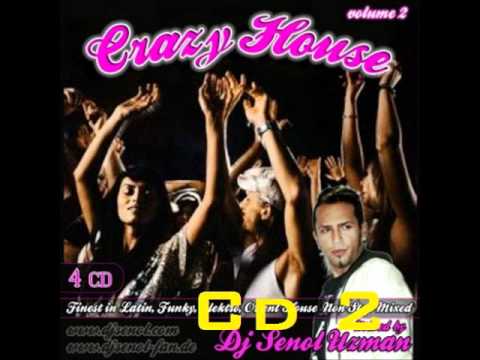 [2011]DJ SENOL - Crazy House [VOL.2] MEGAMiX! (CD2/CD4)
