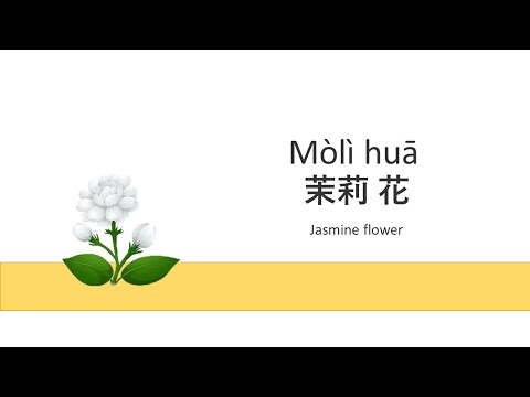 Moli Hua - Mandarin Chinese Kid Song Nursery Rhymes lyrics