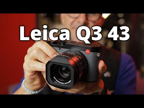 Miniatura del v&iacute;deo