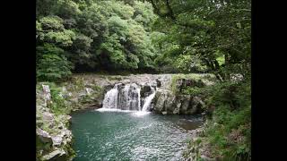 Download lagu ラヴェル 水の戯れ / Ravel Jeux d'eau mp3 Download lagu ラヴェル 水の戯れ / Ravel Jeux d'eau mp3