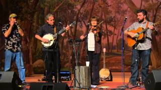 03 Alice Gerrard and the Brainstormers 2014-01-17 Wild Hog In The Woods