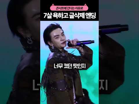 7살 아이 싸불했던 스트레이키즈 콘서트 사건
